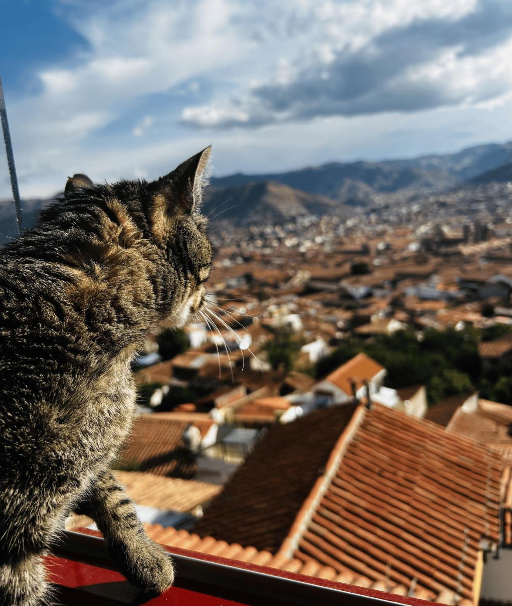 Summit Viewpoint House San Blas Cusco Dış mekan fotoğraf